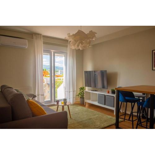 Cozy Pet Friendly Apartment