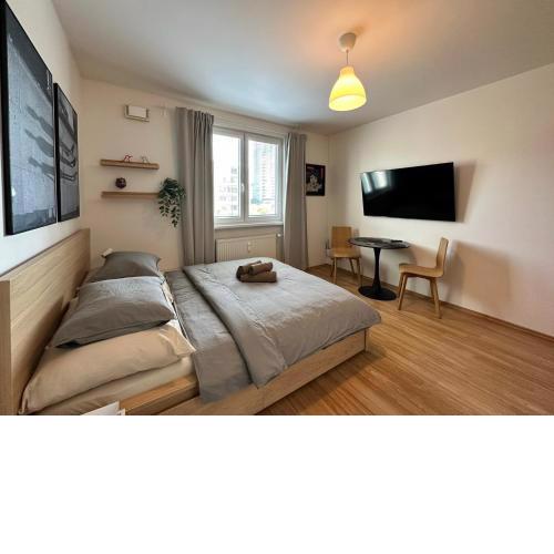 Cozy studio apartment in the wider center