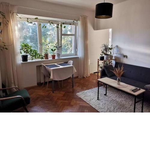 Cozy studio in the City centre near train station