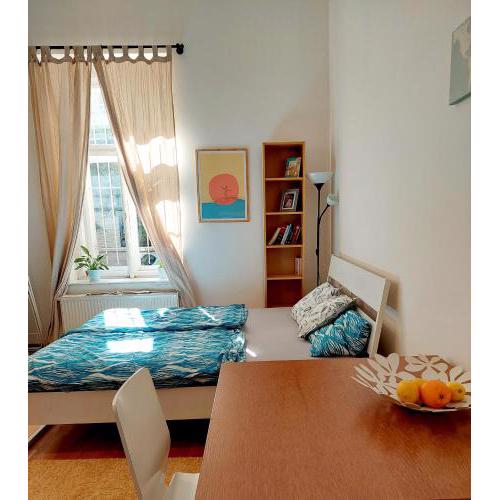 Cozy studio in Vinohrady