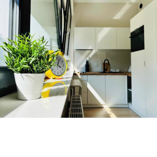 CozyStudio with Sauna