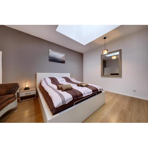 Crystal Apartment Katowice VI