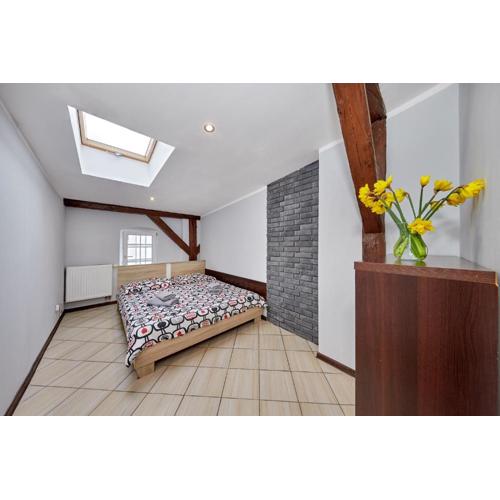 Crystal Apartment Katowice VIII