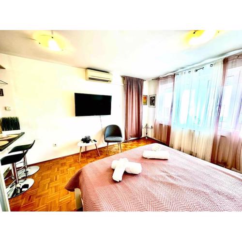 Cute and Cosy apartment