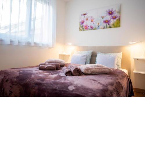 Cute apartman- free parking