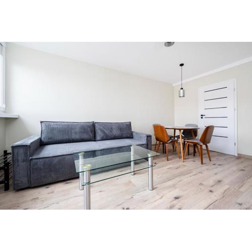 Dąbrowskiego Comfort Apartment by BookingHost