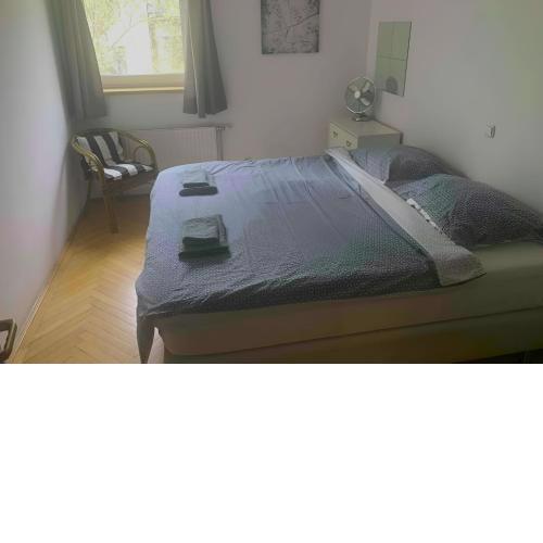 Damati Kft Liszt Ferenc ter Inner City Flat