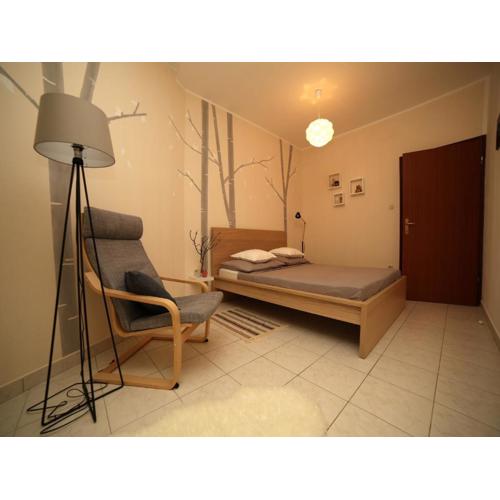 Dandelion Apartment - free parking