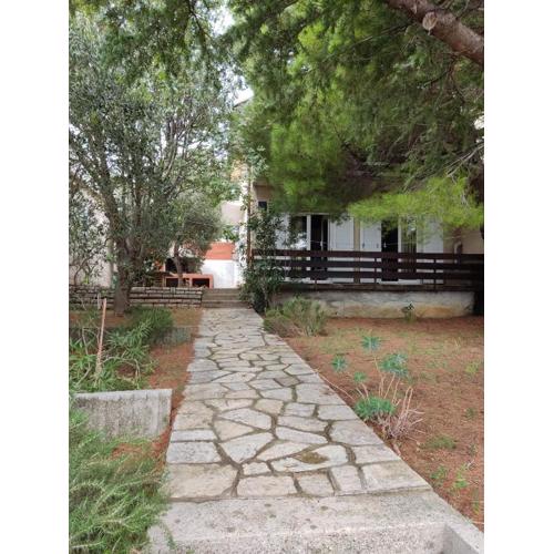 Danica Holiday House