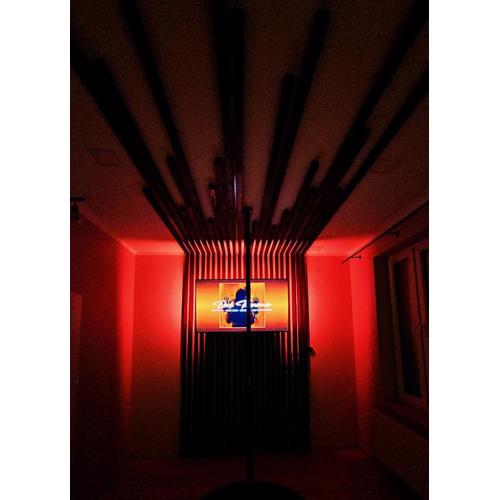 Dark Romance- Apartament BDSM Greya dla Zakochanych Par