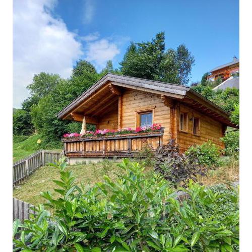 Das Paradieschen Edlitz - stilvolles Blockhaus mit Kamin