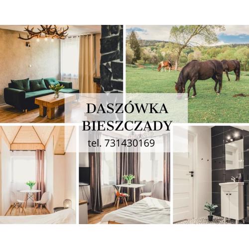 Daszówka Bieszczady