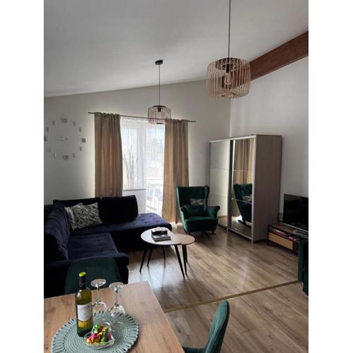 Dawna Mleczarnia Apartamenty MIODOWY