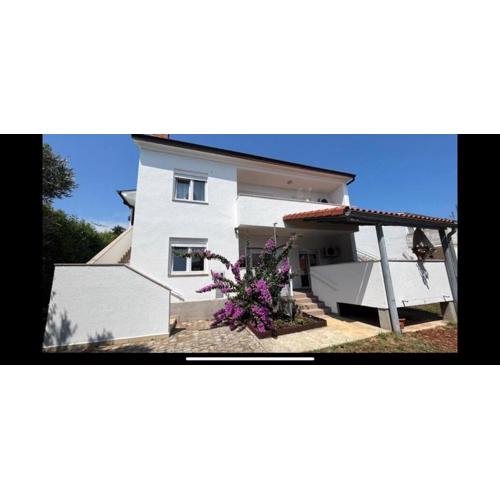 DB Apartments