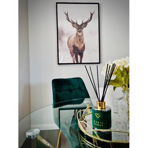 DeerHome Apartment