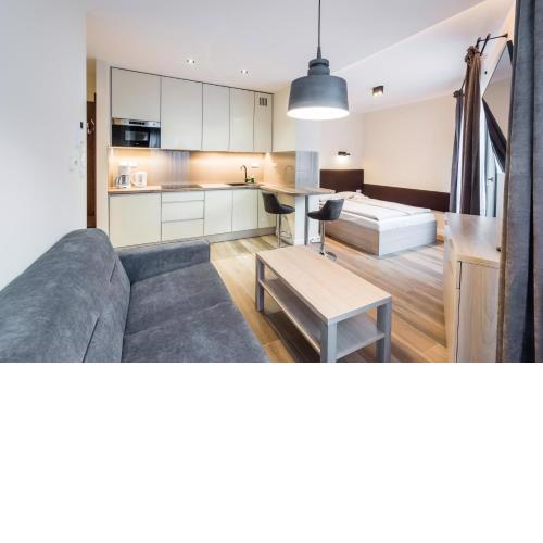 Deluxe Apartment Rakowicka 15 WAWELOFTS