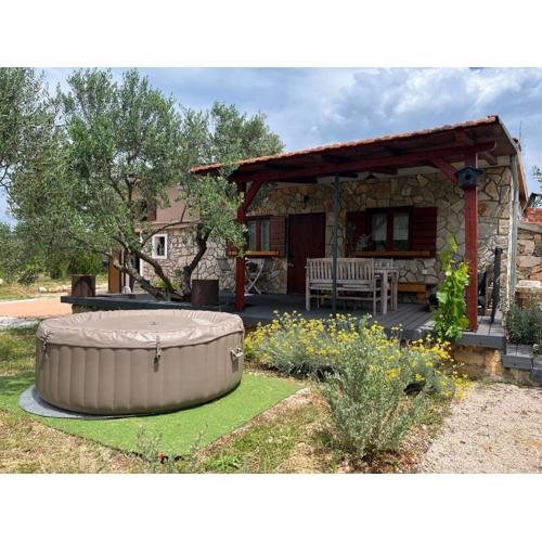 Design holiday home Old sea wolf