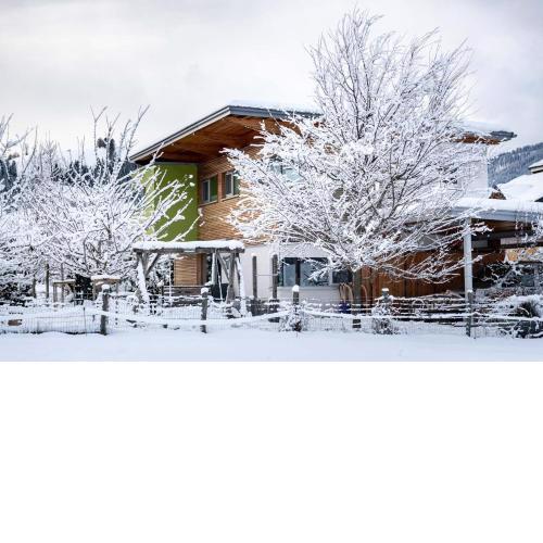 Designferienhaus Altenmarkt Zauchensee