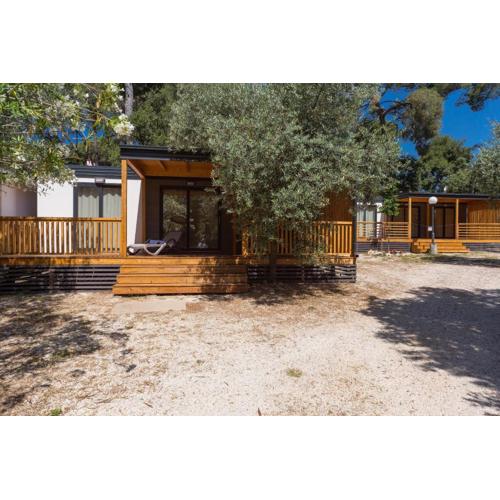 Diana & Josip Mobile Homes
