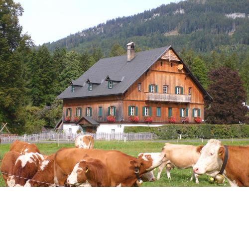 Die Traunmühle