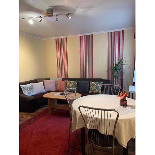 Dizike Pet-friendly Guesthouse