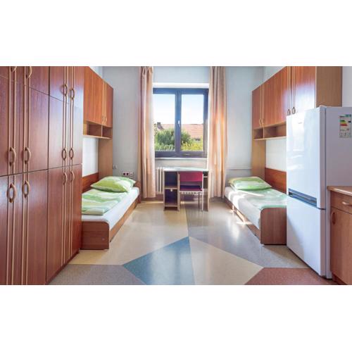 Dizzy Daisy Hostel