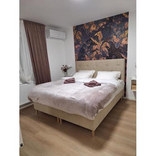 DOLLY APARTMENT