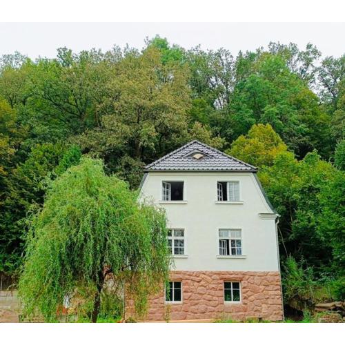Dom pod Agatową Skałą we Wleniu