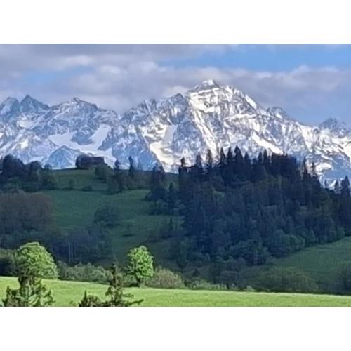 Dom z widokiem na Wierchy - panorama na Tatry - Traditional folk house