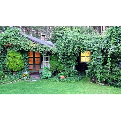 Domek Letniskowy na Kaszubach lub Apartament z Kominkiem