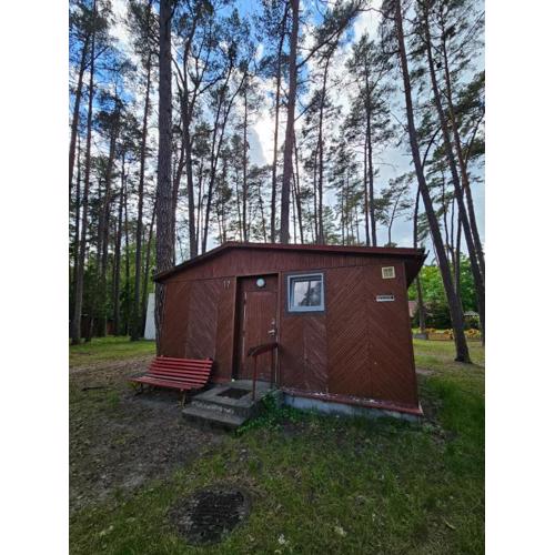 Domek letniskowy nr 11 - jezioro Głębokie