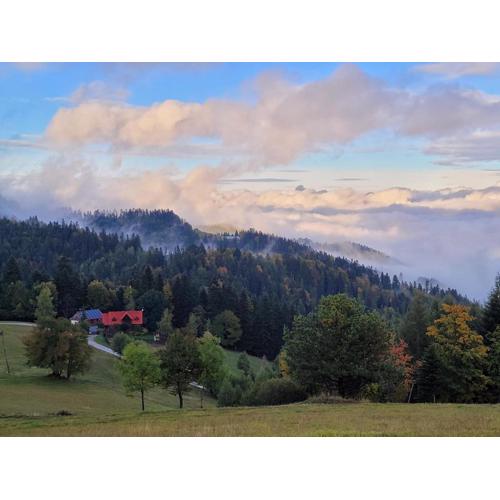 Domek na Obidzy