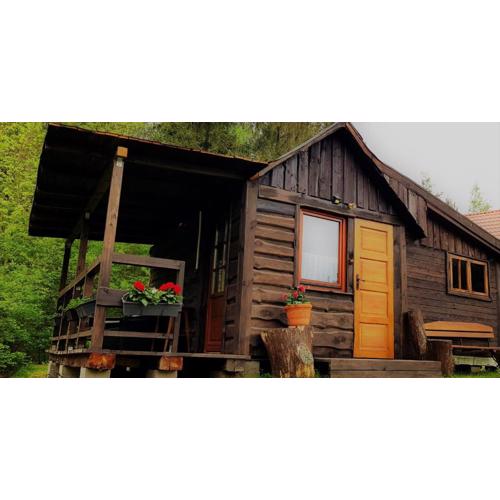 Domek pod lasem