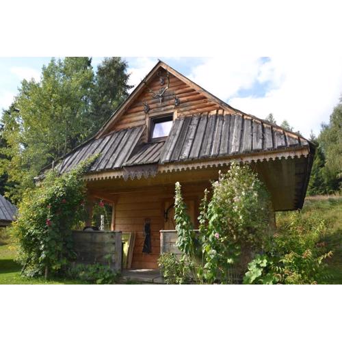 Domek w górach SmoLenisko
