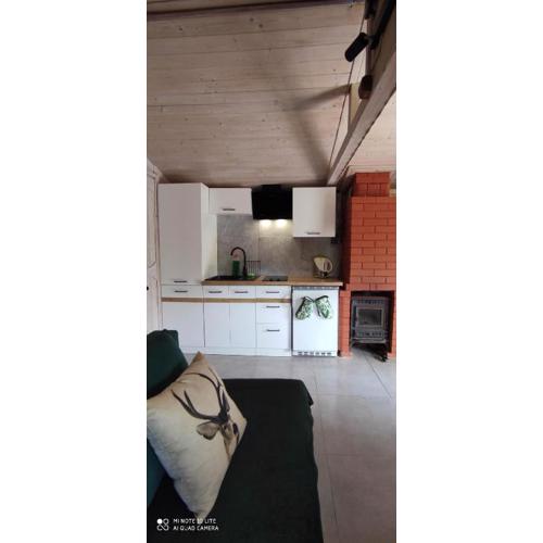 Domki Bieszczadzki Czar Rodzinny 661-850-410