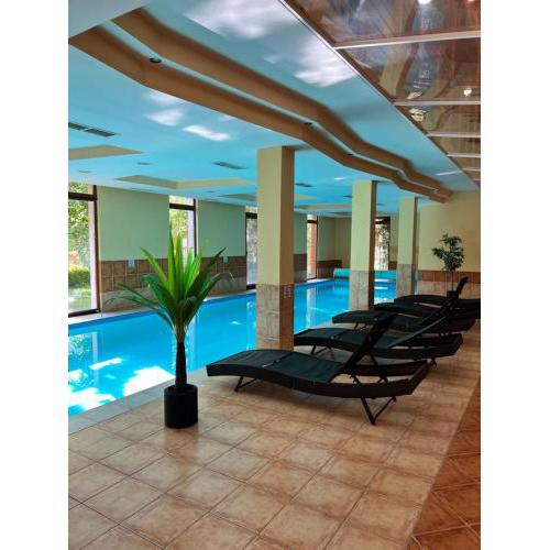 Dorina wellness