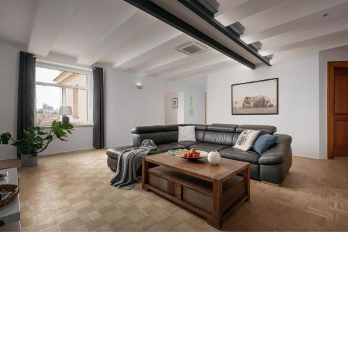 DOT 3 bdr Apartment with Tyn Cathedral View & AC