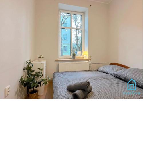 Dotted Room