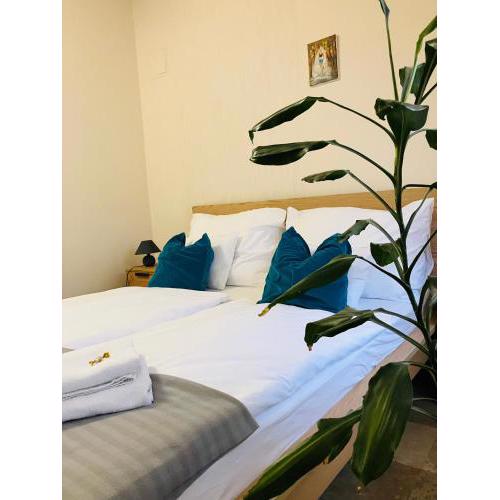 Downtown- Családi Apartman