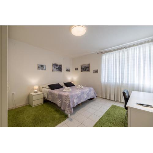 Downtown City Apartment