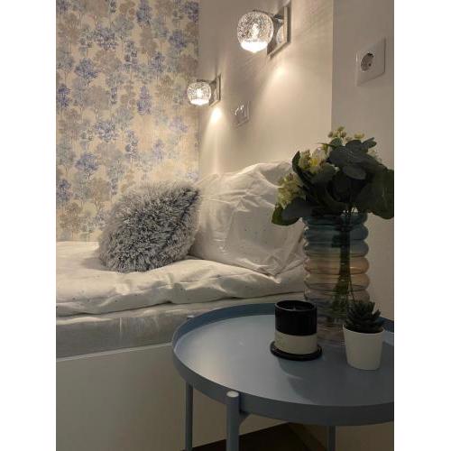 Downtown Mini Apartment