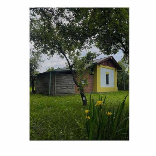 Dráždní domek na samotě u lesa