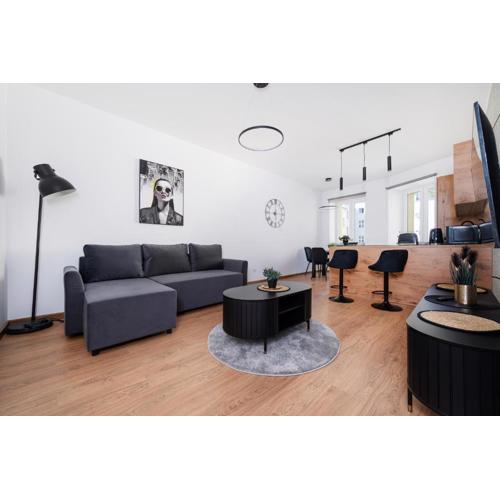 Drewnowska Modern Space Apartment