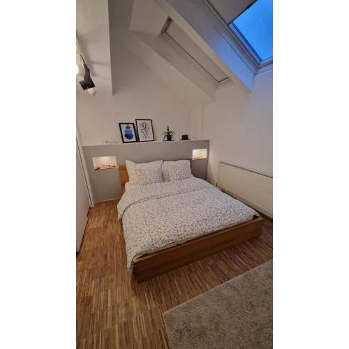Drews Shelter - Charming Apartment
