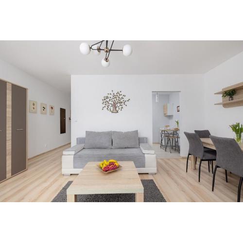 Dunikowskiego Comfort Studio