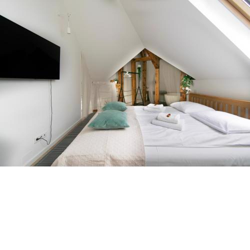 Duplex apartment in the center of Krakow