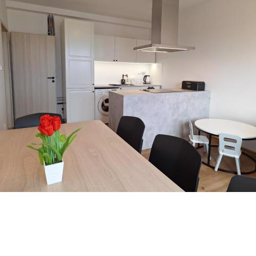 Dvouložnicový apartmán Sluníčko