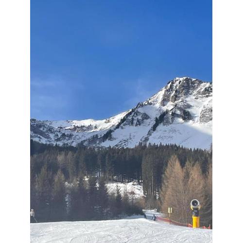 Eisenerz Alpine Apartement RoSy