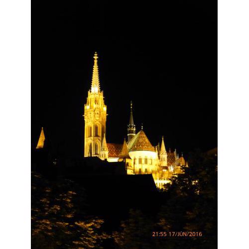 Elegant apartment with Buda Castle view