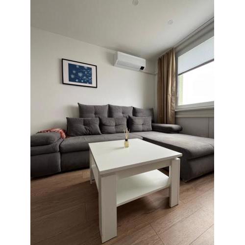 Elegant Escape apartment III - free parking, easy access to City Center